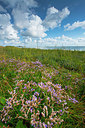 BUITEN BEELD Foto: 339232