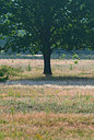 BUITEN BEELD Foto: 339244