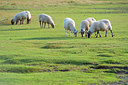 BUITEN BEELD Foto: 339312