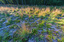 BUITEN BEELD Foto: 339328
