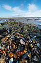 BUITEN BEELD Foto: 339343