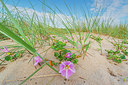 BUITEN BEELD Foto: 339360