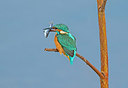 BUITEN BEELD Foto: 339481