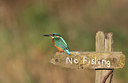 BUITEN BEELD Foto: 339485