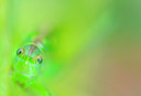 BUITEN BEELD Foto: 339518