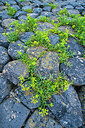 BUITEN BEELD Foto: 339605