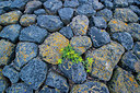 BUITEN BEELD Foto: 339610