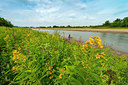BUITEN BEELD Foto: 339624