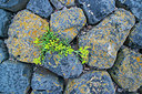 BUITEN BEELD Foto: 339626