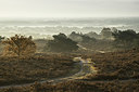 BUITEN BEELD Foto: 339658