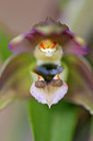 BUITEN BEELD Foto: 339743
