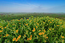 BUITEN BEELD Foto: 339745