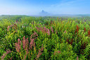 BUITEN BEELD Foto: 339757