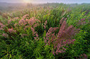BUITEN BEELD Foto: 339759