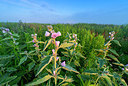 BUITEN BEELD Foto: 339762