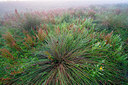 BUITEN BEELD Foto: 339934