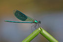 BUITEN BEELD Foto: 340063