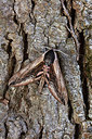 BUITEN BEELD Foto: 340083
