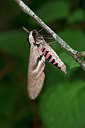 BUITEN BEELD Foto: 340084