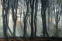 BUITEN BEELD Foto: 340123