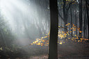 BUITEN BEELD Foto: 340132