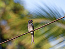 BUITEN BEELD Foto: 340178
