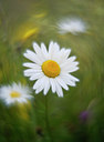 BUITEN BEELD Foto: 340236
