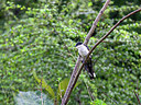 BUITEN BEELD Foto: 340304