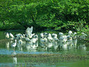 BUITEN BEELD Foto: 340316