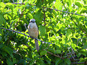 BUITEN BEELD Foto: 340318