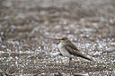 BUITEN BEELD Foto: 340344