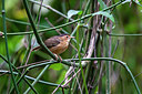 BUITEN BEELD Foto: 340367
