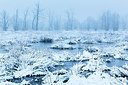 BUITEN BEELD Foto: 340406