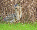 BUITEN BEELD Foto: 340470