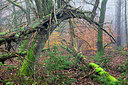 BUITEN BEELD Foto: 340474