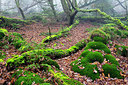 BUITEN BEELD Foto: 340475