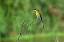 BUITEN BEELD Foto: 340481