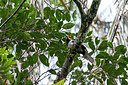 BUITEN BEELD Foto: 340482