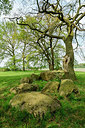 BUITEN BEELD Foto: 340521