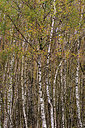 BUITEN BEELD Foto: 340524