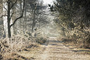 BUITEN BEELD Foto: 340581