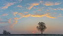 BUITEN BEELD Foto: 340585