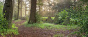 BUITEN BEELD Foto: 340619
