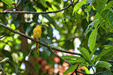 BUITEN BEELD Foto: 340648