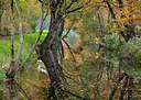 BUITEN BEELD Foto: 340695