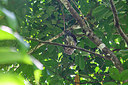 BUITEN BEELD Foto: 340710