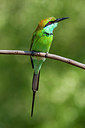 BUITEN BEELD Foto: 340733