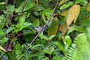 BUITEN BEELD Foto: 340746