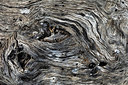 BUITEN BEELD Foto: 340761