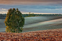 BUITEN BEELD Foto: 340769